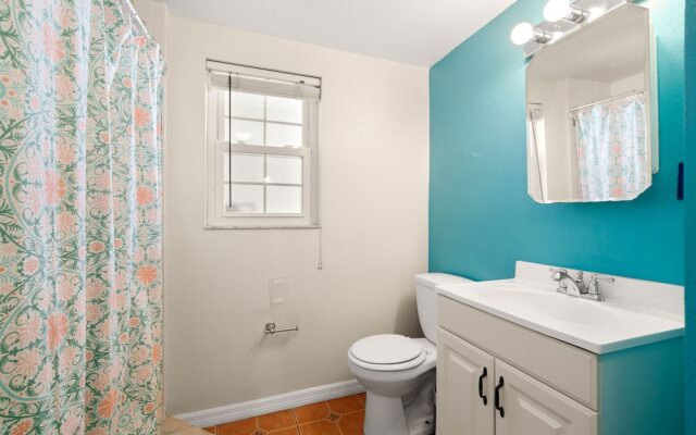 The Palms of Madeira