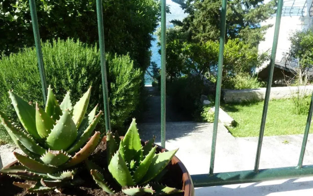 Apartment Vanda