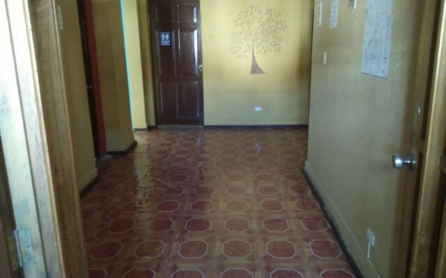 Krishna Hostal - Hostel