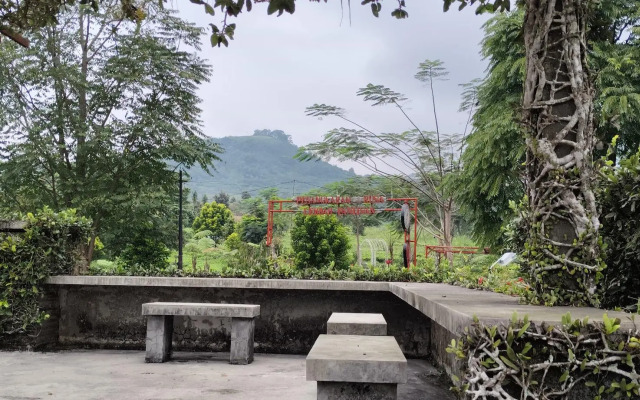 Tea Garden Resort