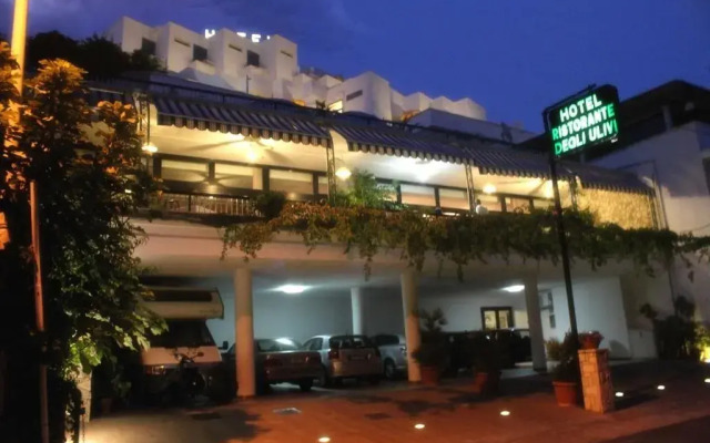 Hotel Degli Ulivi