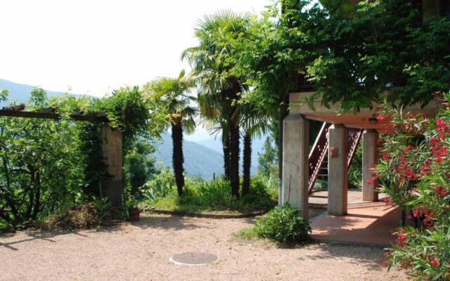 Studio al vigneto