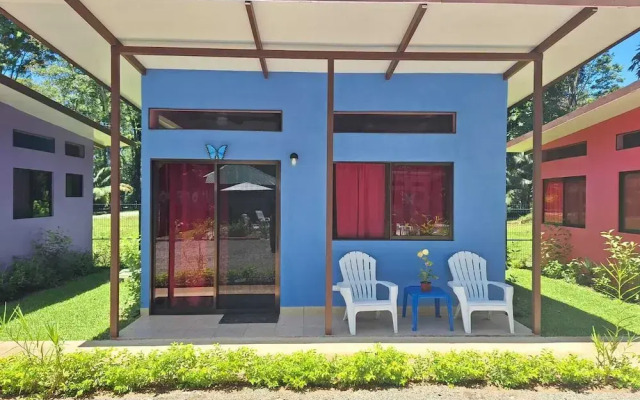 Caribbean Blue Morpho