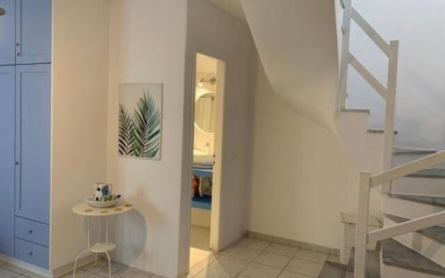 Irene`s House