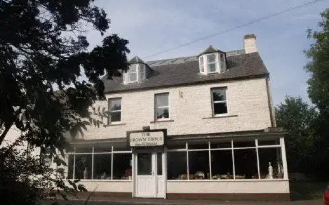 Brown Trout Hotel