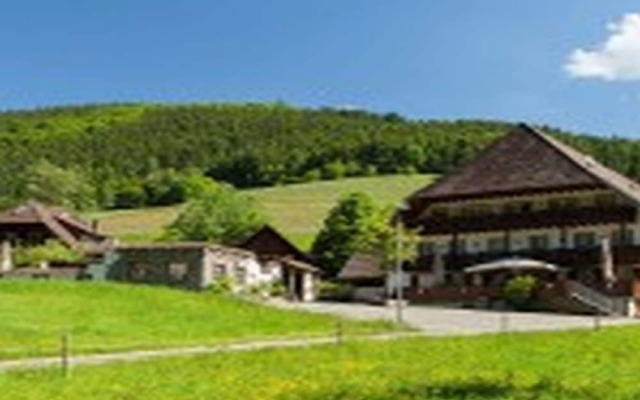 Landgasthaus Grüner Baum