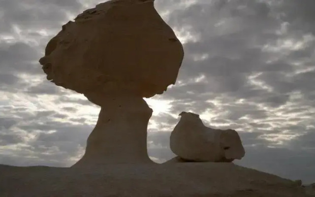 Desert Fox Club Camp