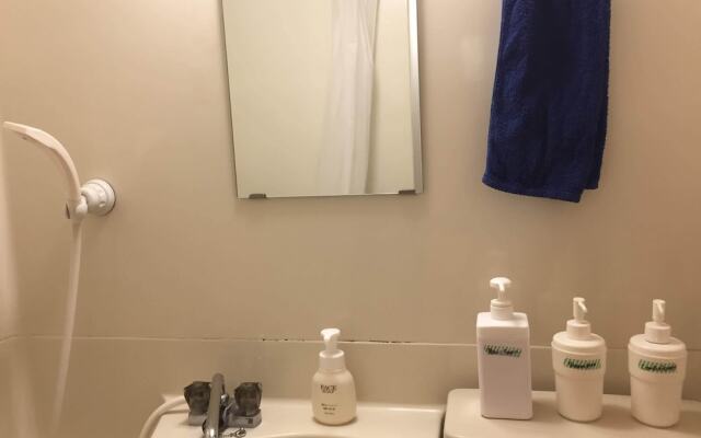 Kabukicho Shinjuku DP214