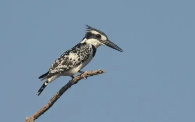 Island Camp Baringo