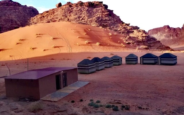 Wadi Rum Blue Sky and Tour