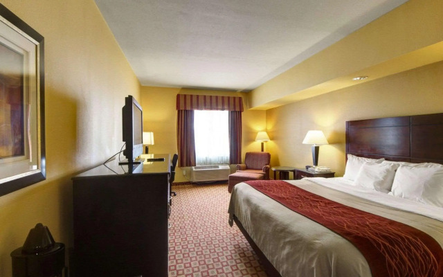 Comfort Inn & Suites Donna near I-2