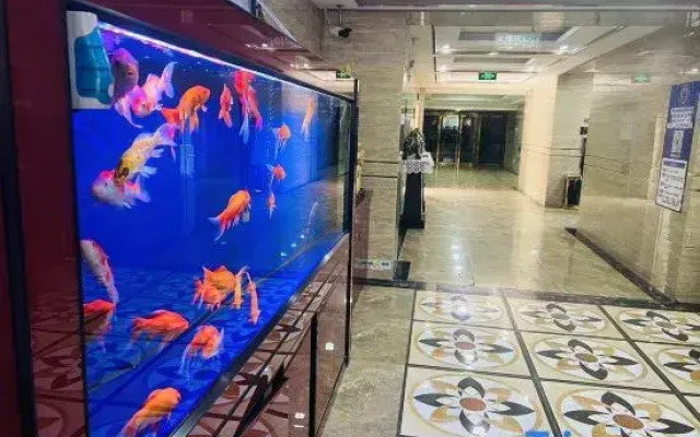 Xinmaoxiang Hostel