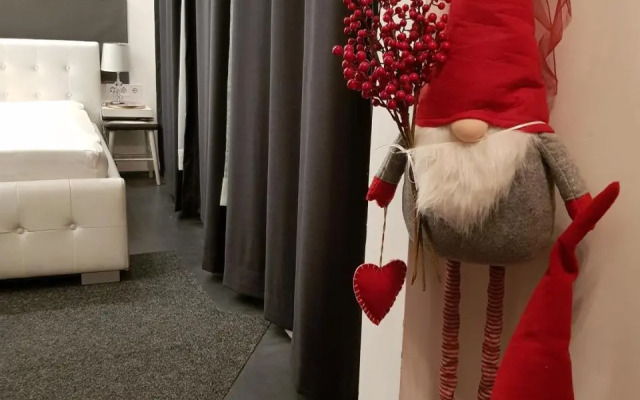 Modern flat in city center