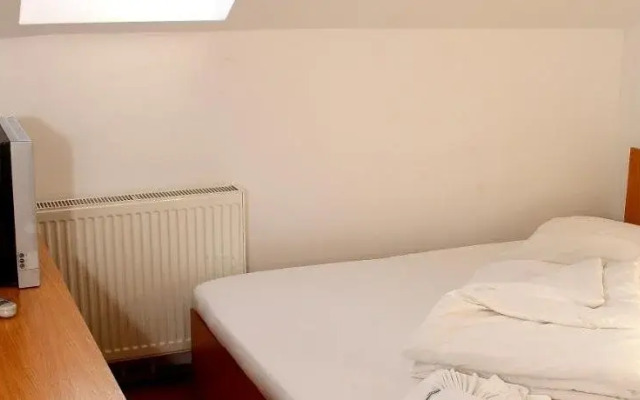 Pensiunea Timişoara