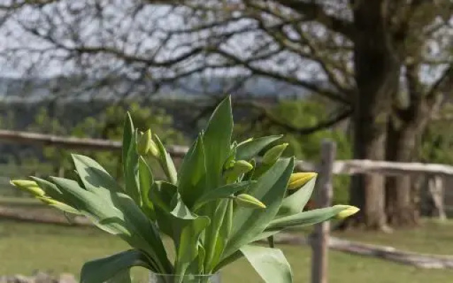 La Ferme De Durbuy