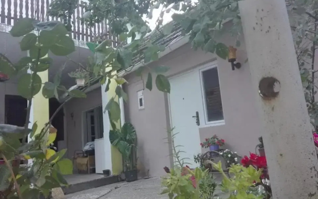 Apartman Andjela 1