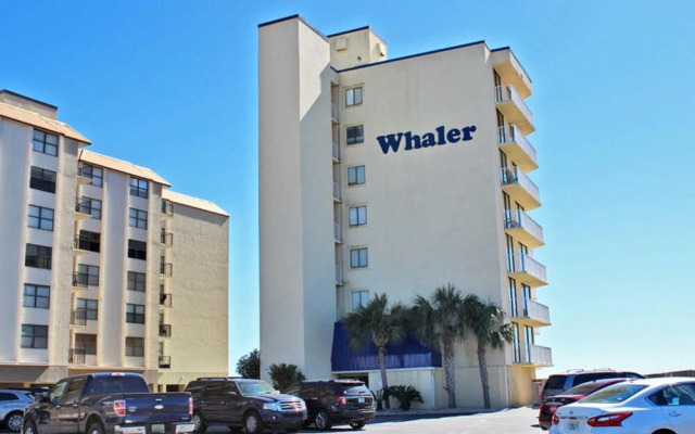 Whaler by Youngs Suncoast