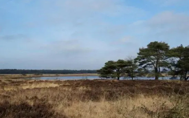 Huisje venzicht 7