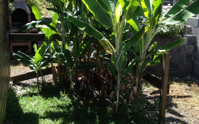 Les Vanilliers Location BUNGALOWS