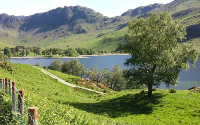 The Willows