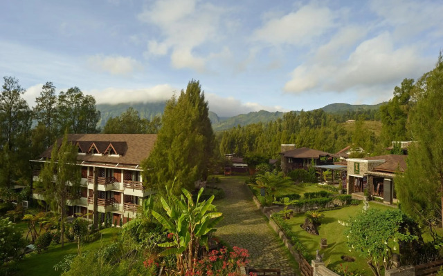 Java Banana Lodge Bromo