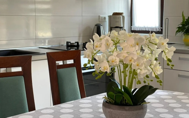 Bilja - 20 M From the sea - A4