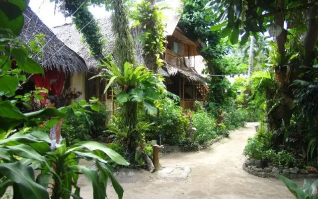 Melinda's Garden