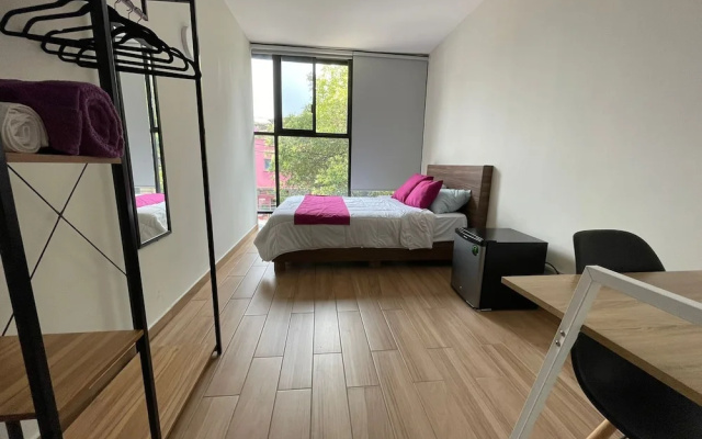 Colmena Hotel CDMX Tonala