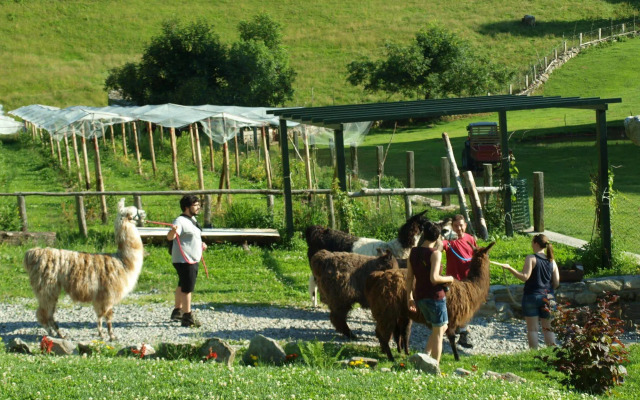 Agriturismo Le Radici