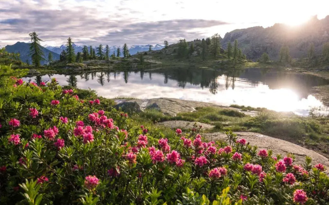 Saint Vincent Apartment