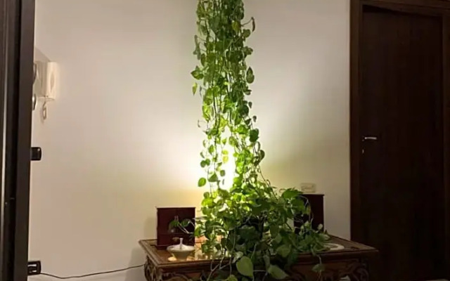 B&B San Pietro Book sharing