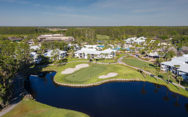 Saddlebrook Golf Resort & Spa Tampa North - Wesley Chapel