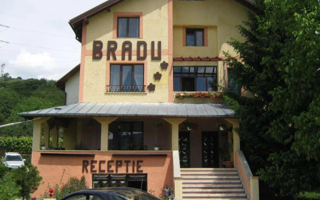 Pensiunea BRADU