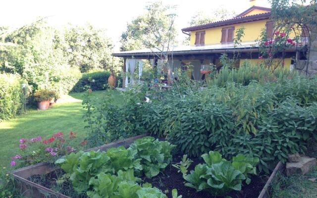 Agriturismo Borgo Nuovo Di Mulinelli