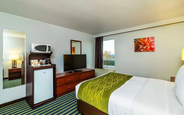 Comfort Inn & Suites