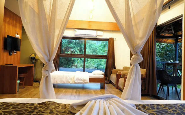 The Wild Trails Clarks Exotica Munnar