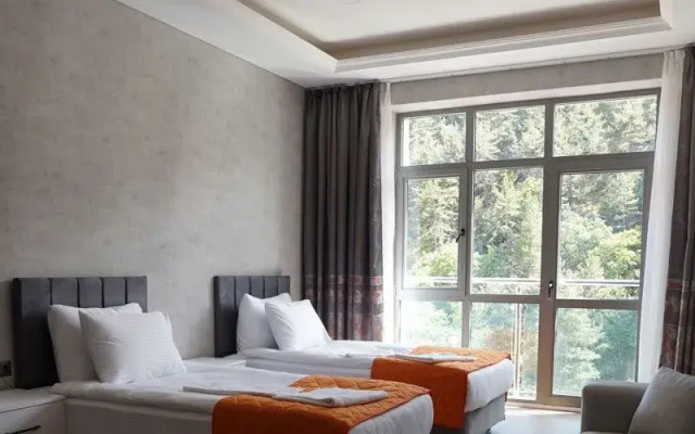 Ve Hotels Kizilcahamam