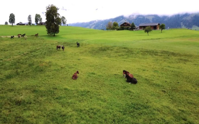 Double Room in Saalfelden Near Ski Slopes