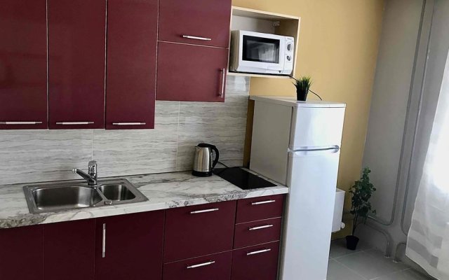 Apartamenty DreamHouse na Sputnikov