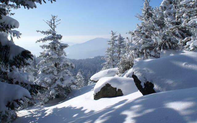 Apartment in the Bavarian Forest With Sauna