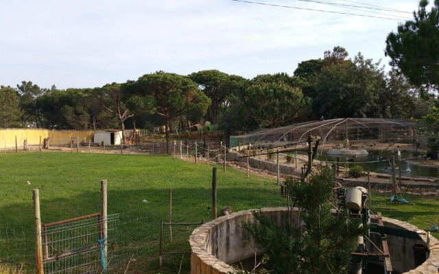 Quinta Vita - Vila Pera