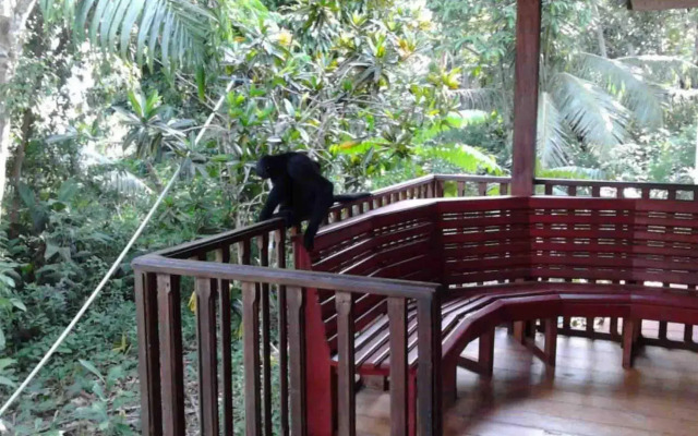 Tarantula Hostel
