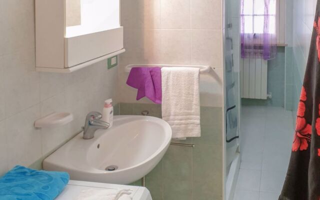 Green Marine, Palme, Ismare 24951