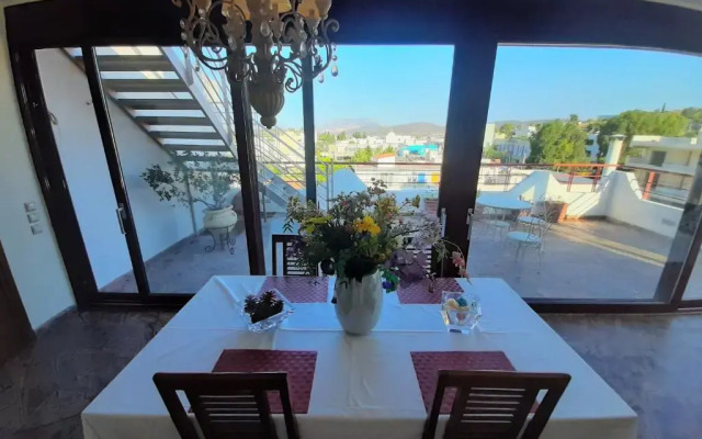 Royal stylish view apartment