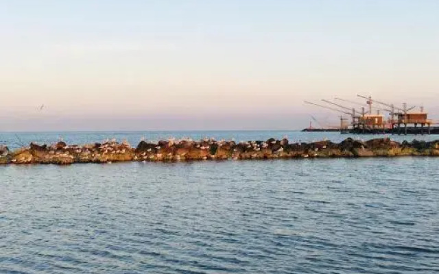 Res. Michelangelo Resort 252S