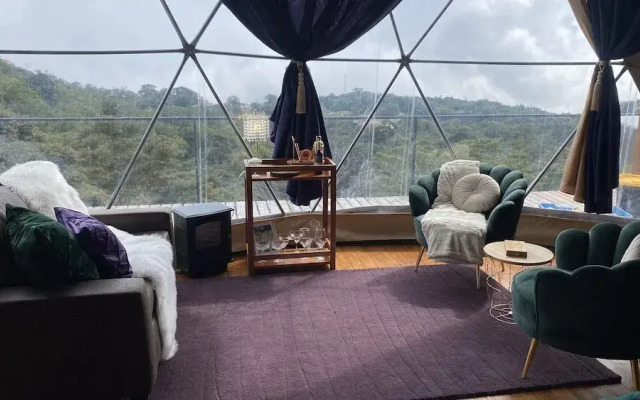 FéLIZA Rainforest Domes