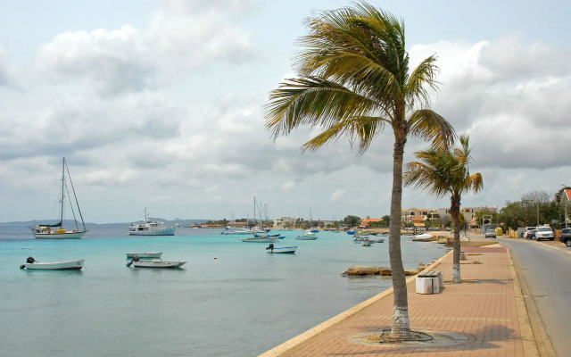 City INN Bonaire