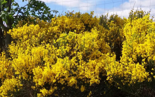 Le Relais De Rochepaule