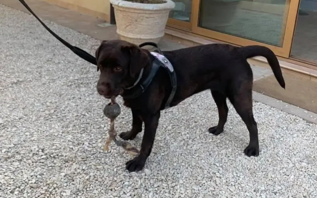 Setter House Agri Hotel