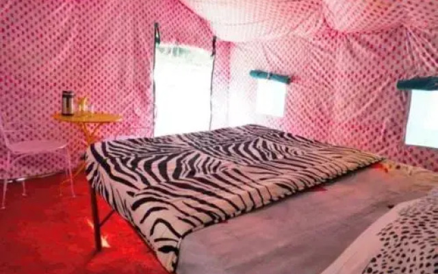 Mogli Camps